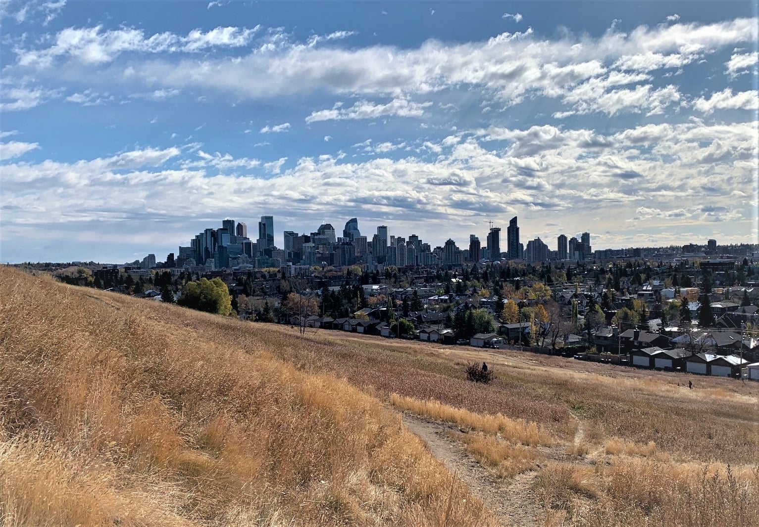 West Hillhurst Dog Park West Hillhurst Dog Park