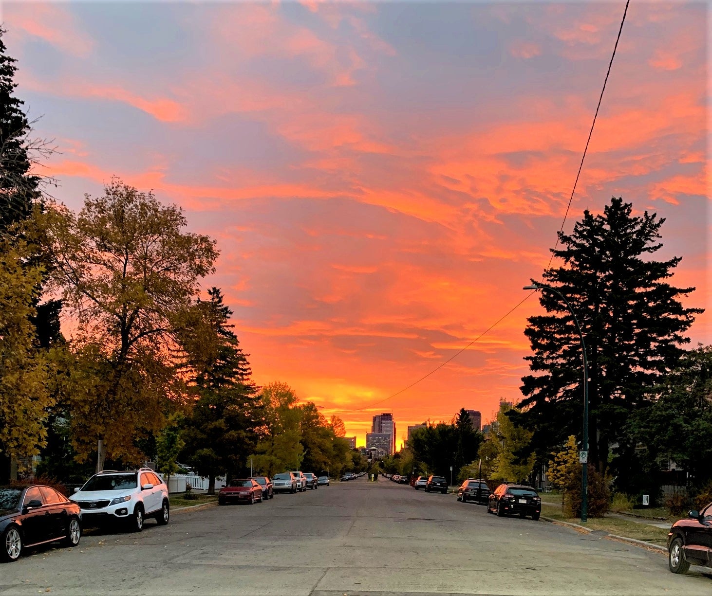 Sunrise on Bowness Road, Hillhurst