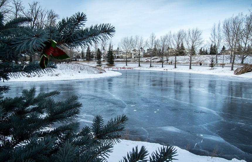 Carbon Park Calgary