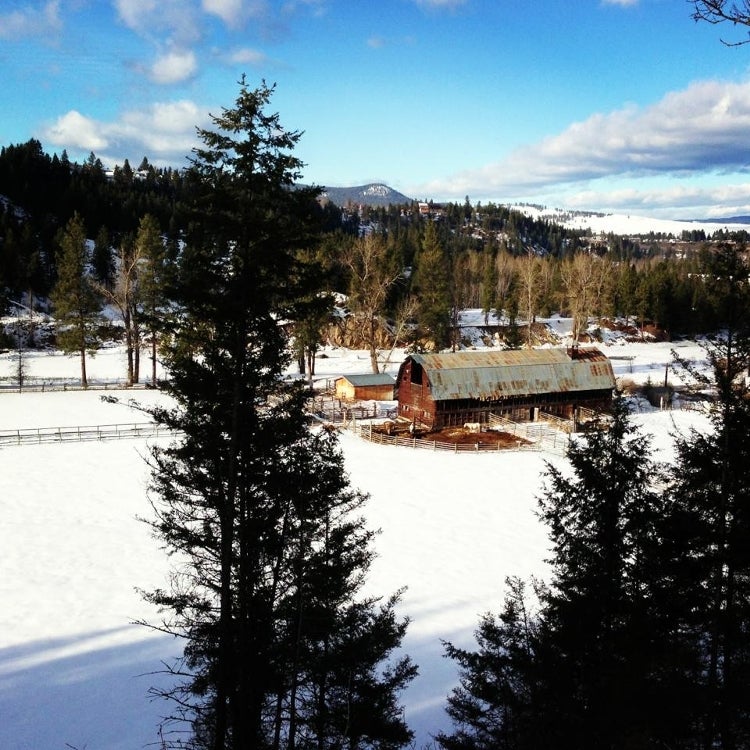Winter Wonderland at a Princeton Ranch