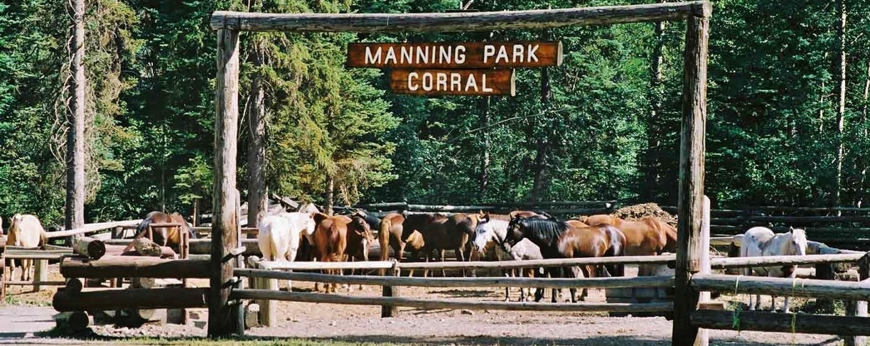 Headwaters Corral Equestrian Campsite