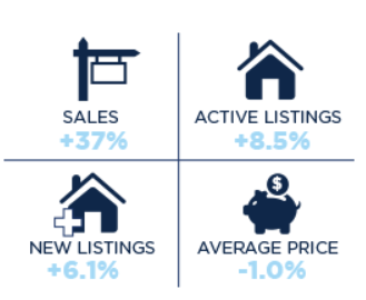 Toronto Real Estate Market Report 