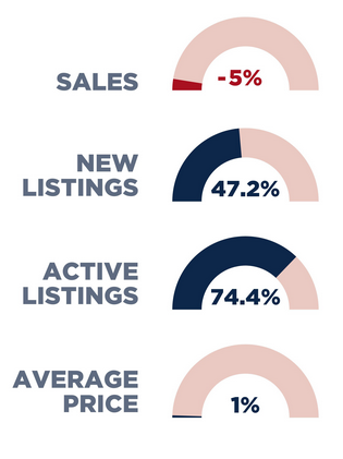 Toronto Real Estate Market Report May 2024