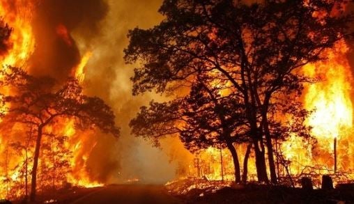 North Vancouver forest fire alert North Vancouver forest fire alert