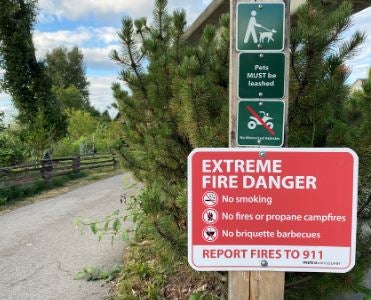 Upper Lonsdale forest fires