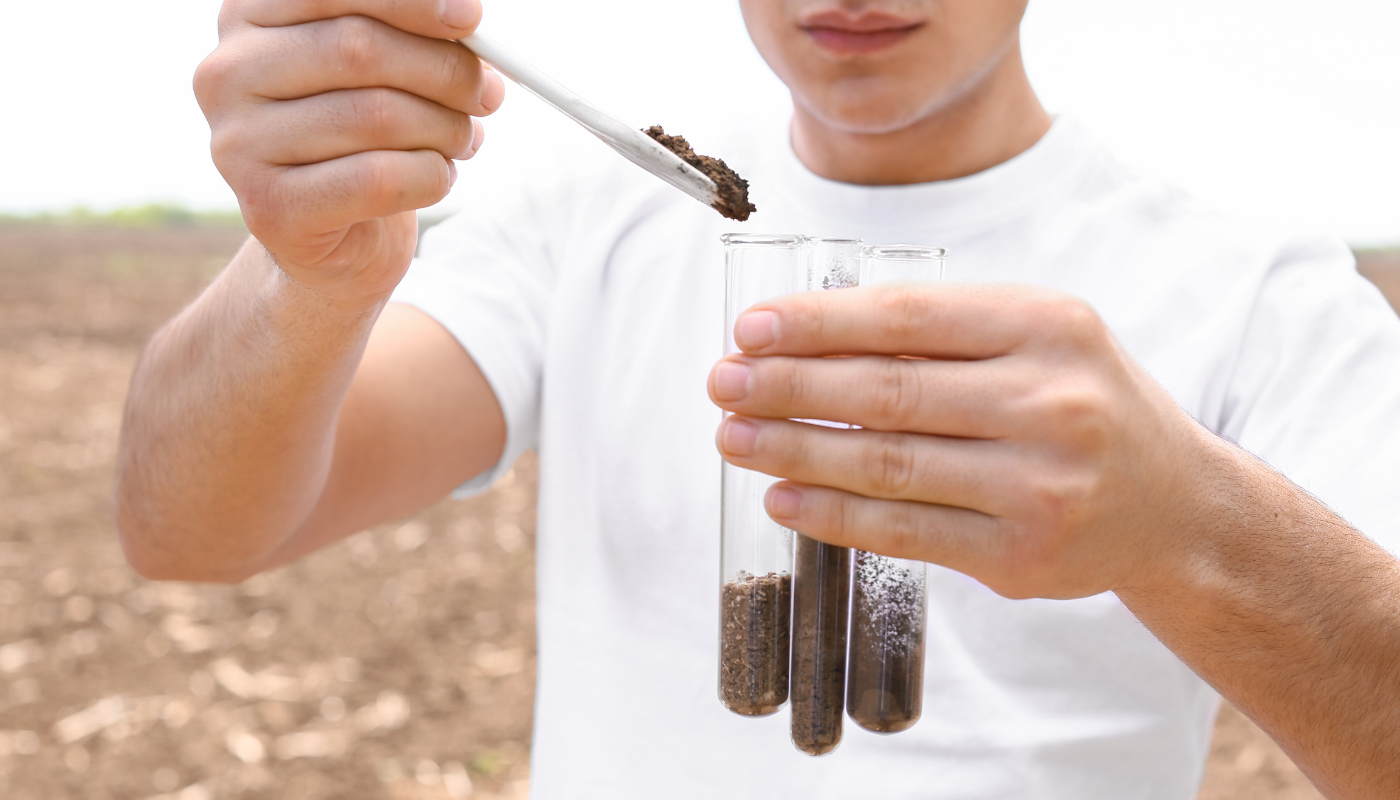 oil tank soil contamination