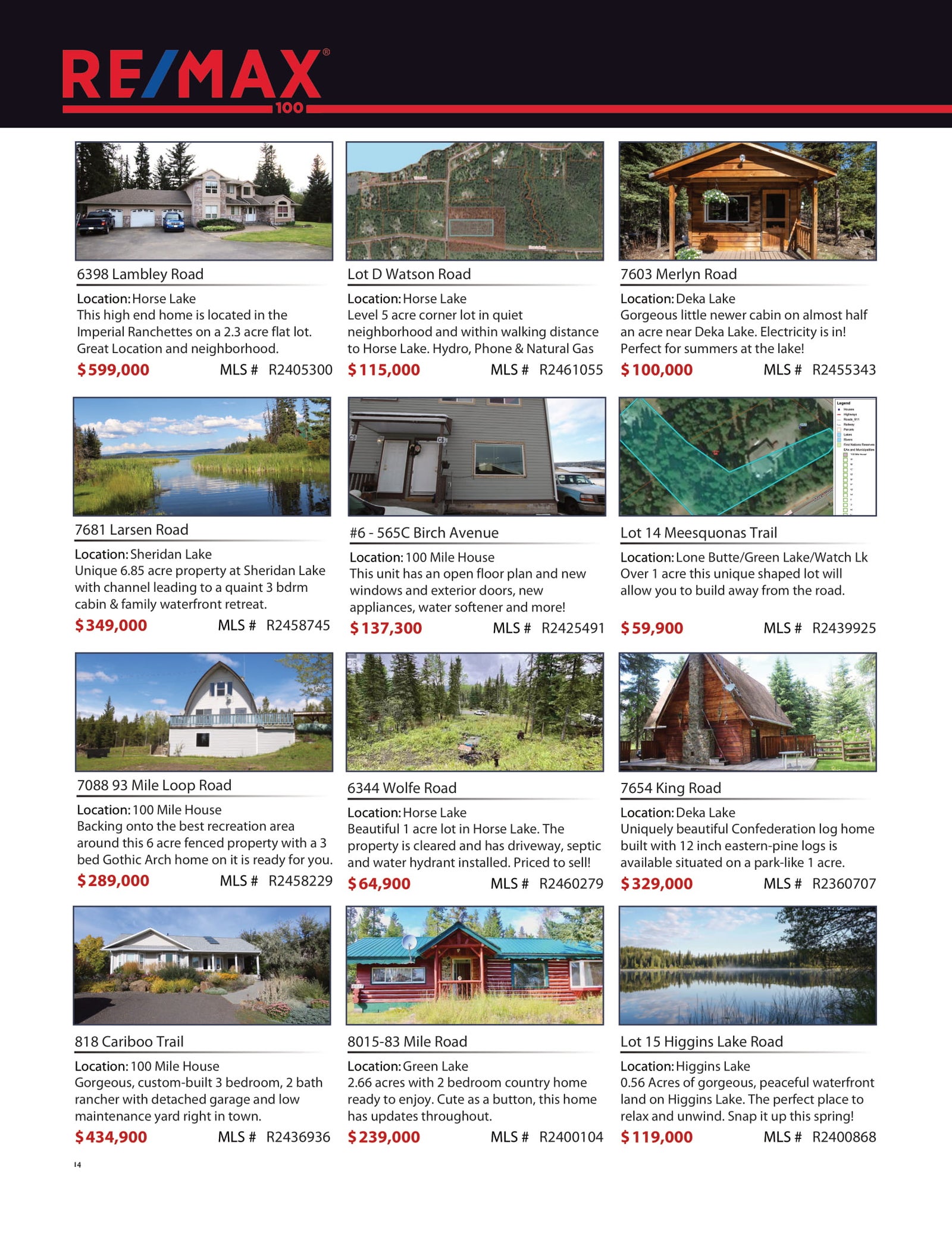 RE/MAX 100 (https://www.remax100.ca) - Current Flyer