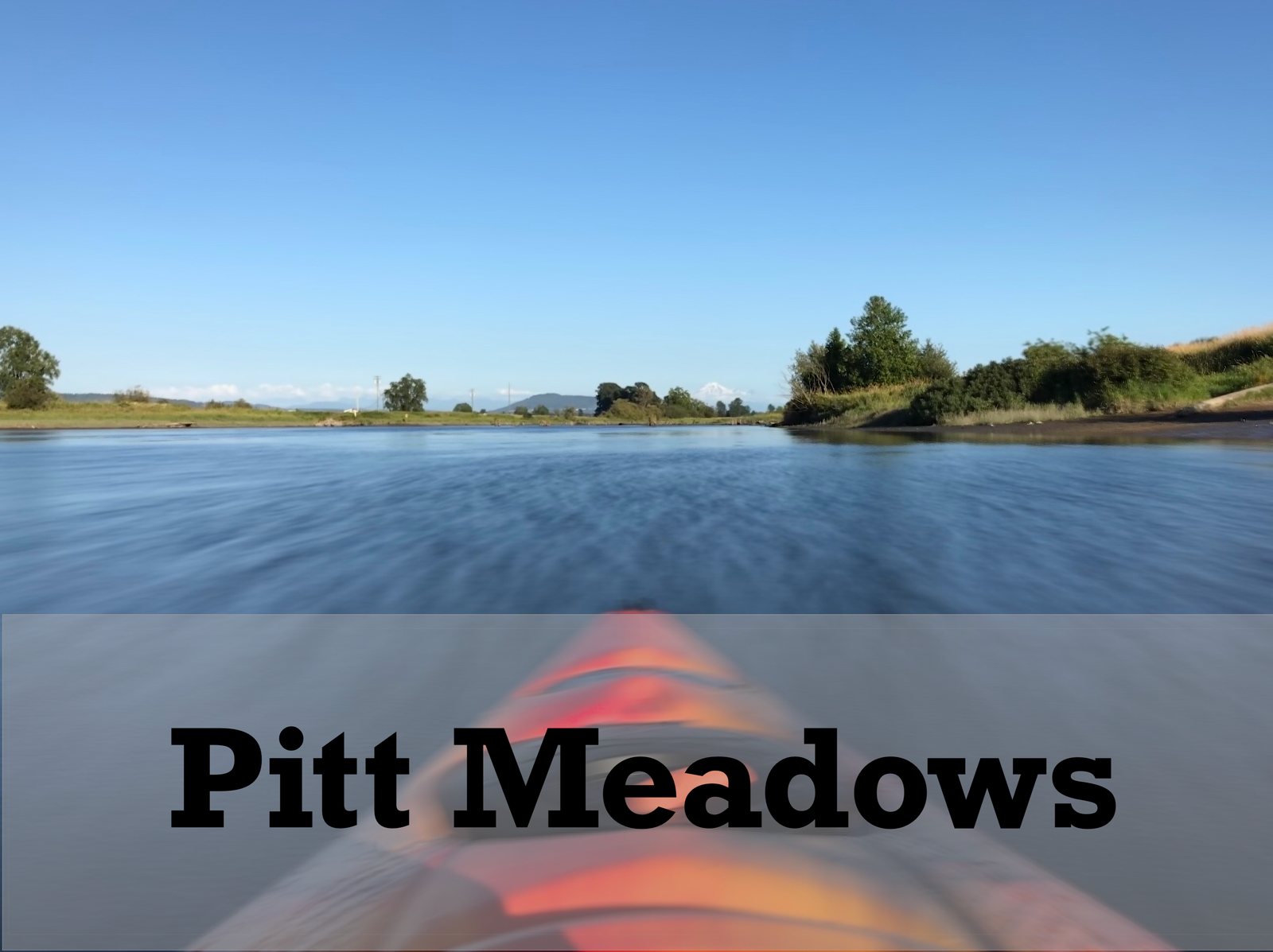 Pitt Meadows homes for sale