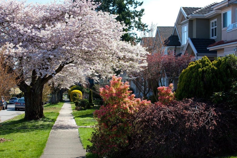 Meadowbrook Neighborhood Profile | Search for MLS Listings | Find Homes in Coquitlam| www.lolaoduwole.com Meadowbrook Neighborhood Profile | Search for MLS Listings | Find Homes in Coquitlam| www.lolaoduwole.com