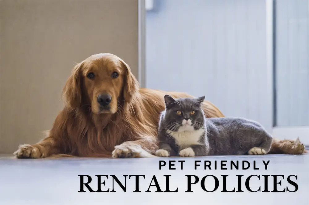 Pet-Friendly Rental Policies in BC: A Landlord's Guide for 2026