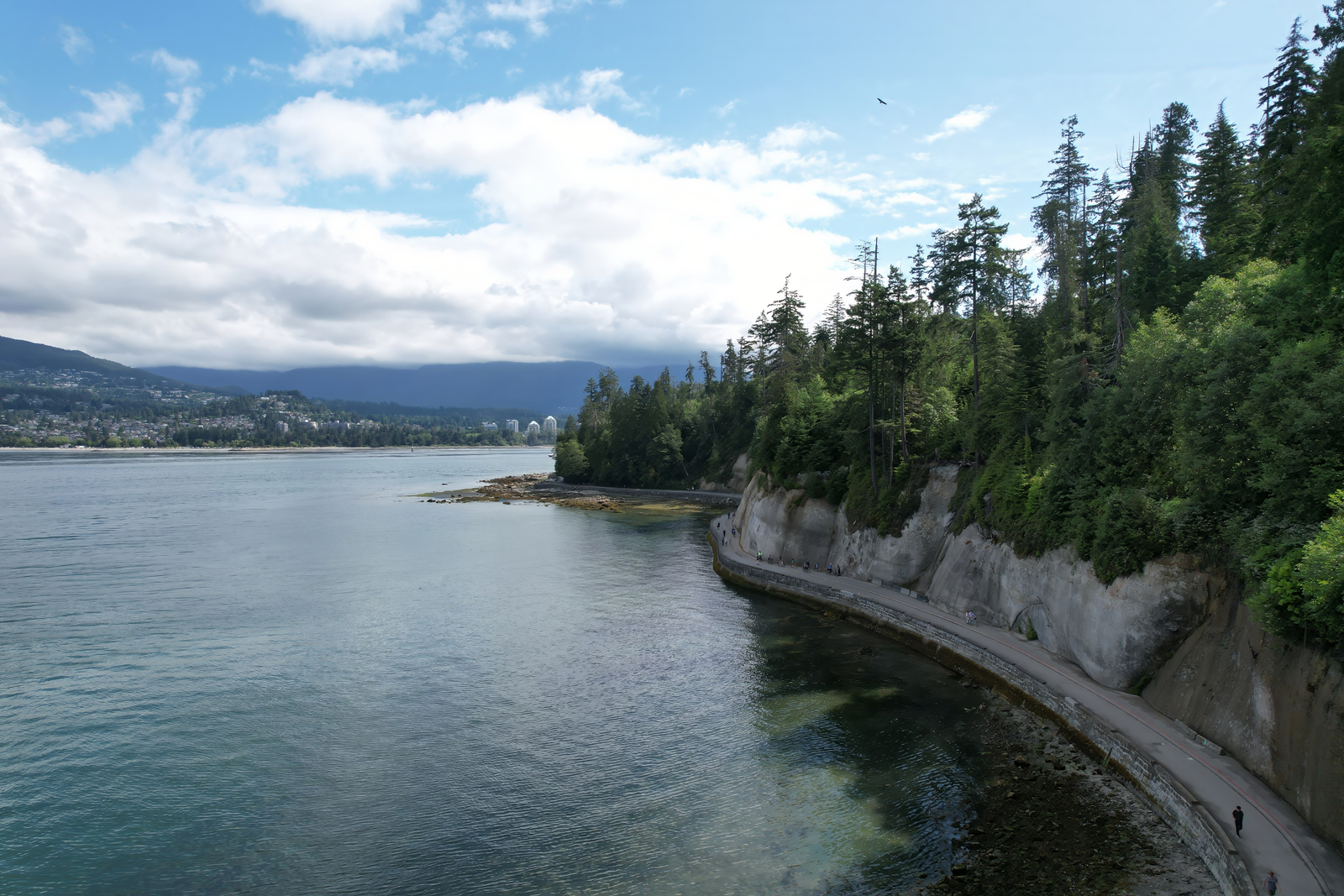 Lynn Valley Homes for Sale | Lynn Valley Realtor