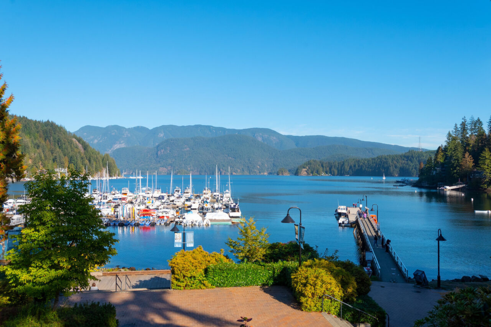 Living Steps from the Ocean: Exploring Deep Cove Homes for Sale Deep Cove Homes for Sale | Deep Cove Realtor