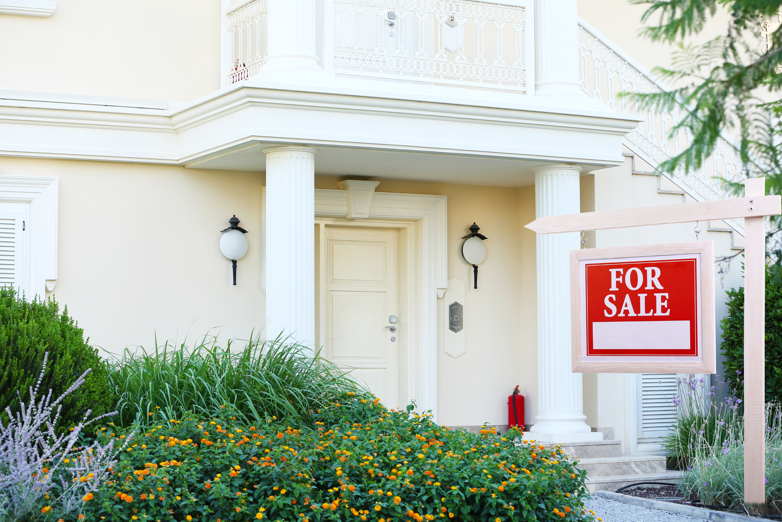 Why Deep Cove Homes for Sale Are in High Demand This Year Deep Cove Homes for Sale | Deep Cove Realtor