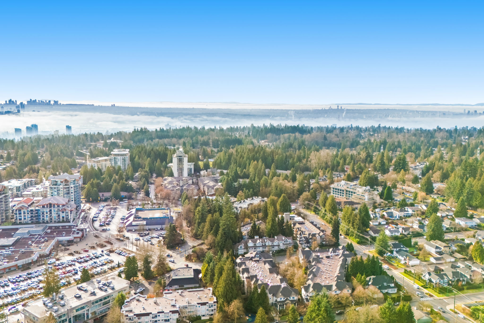 How to Prepare Your Property to Stand Out Among Lynn Valley Homes for Sale Lynn Valley Homes for Sale | Lynn Valley Realtor