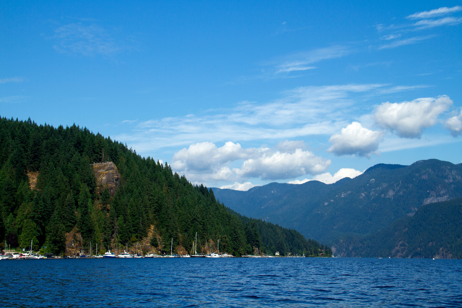 Is Deep Cove a Good Investment? Insights From a Deep Cove Realtor Deep Cove Homes for Sale | Deep Cove Realtor