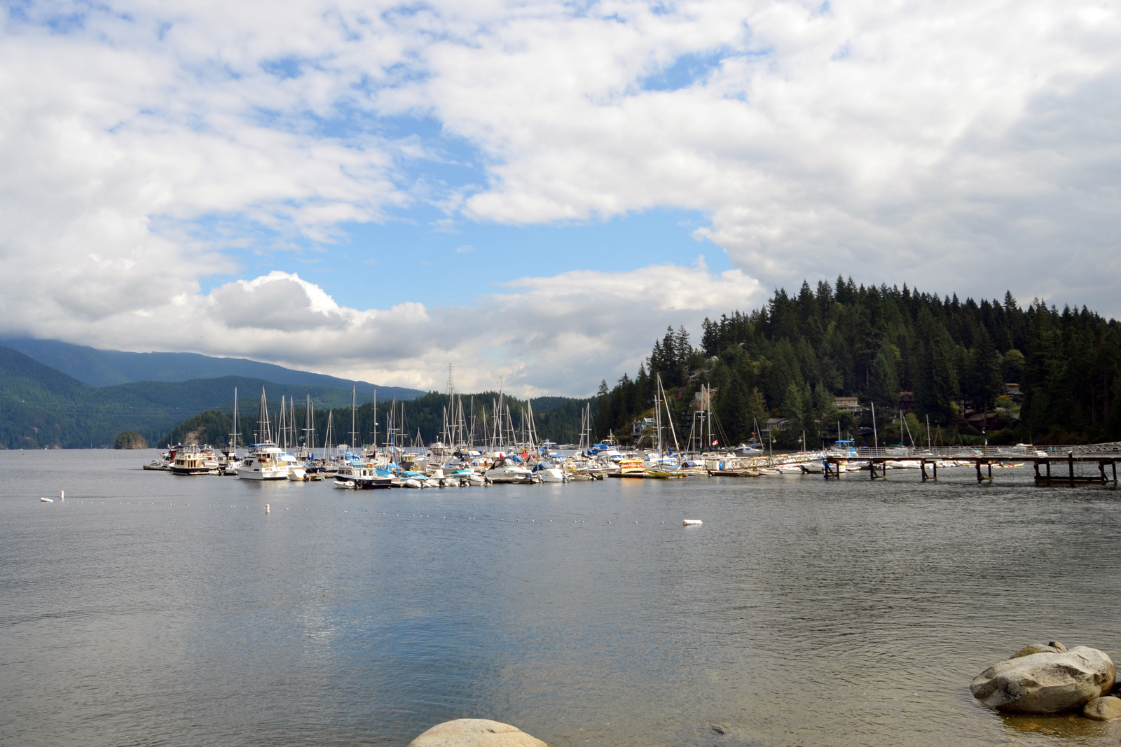 Deep Cove Homes for Sale | Deep Cove Realtor