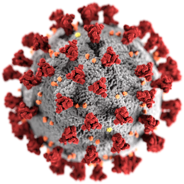 Corona Virus