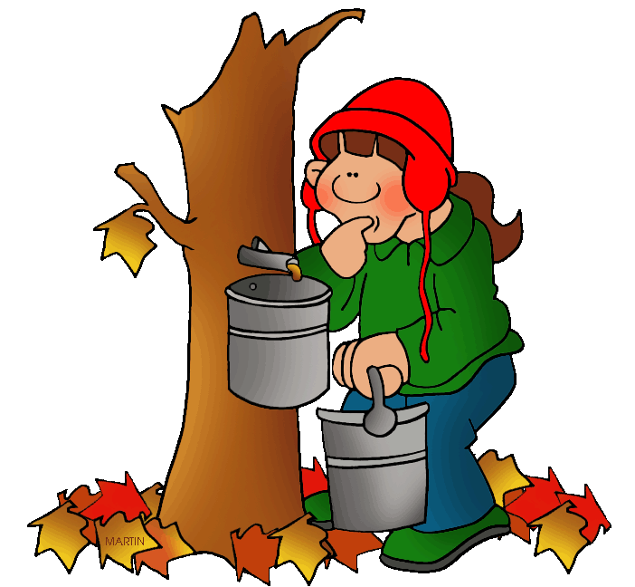 Maple Syrup Tapping Maple Syrup Tapping