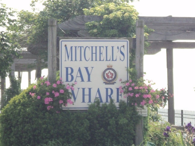Mitchells Bay