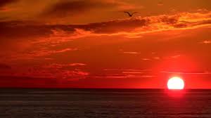 Sunrise Sunrise