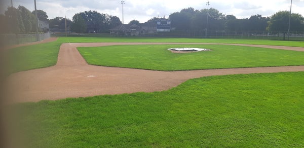 Ball Diamond at Fergie Jenkins Filed