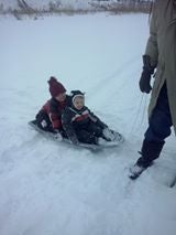 Children sliegh riding in snow