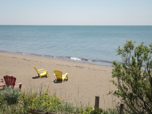 Beach Scene