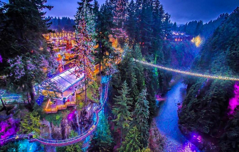 Capilano Canyon Lights Capilano Canyon Lights