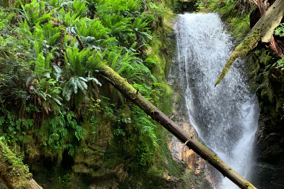 Burnett Falls Waterfall Hike Sunshine Coast BC