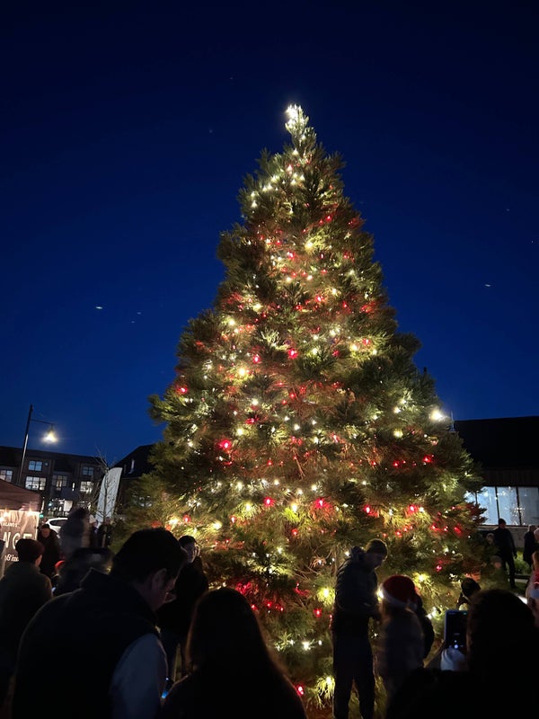 Christmas Concerts and Events in South Delta