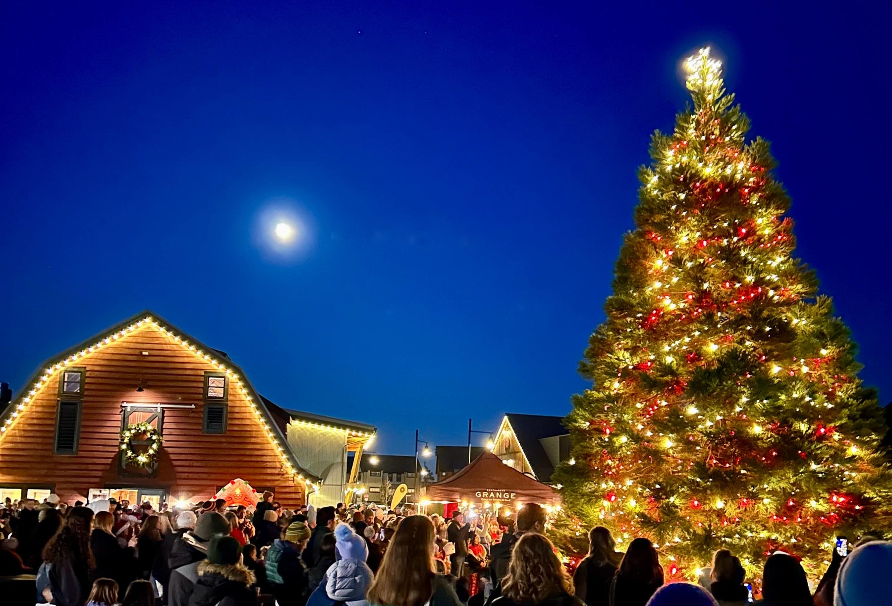 Winter Vibes: South Delta’s Best Holiday Events