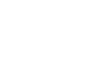 100 Percent KO Logo