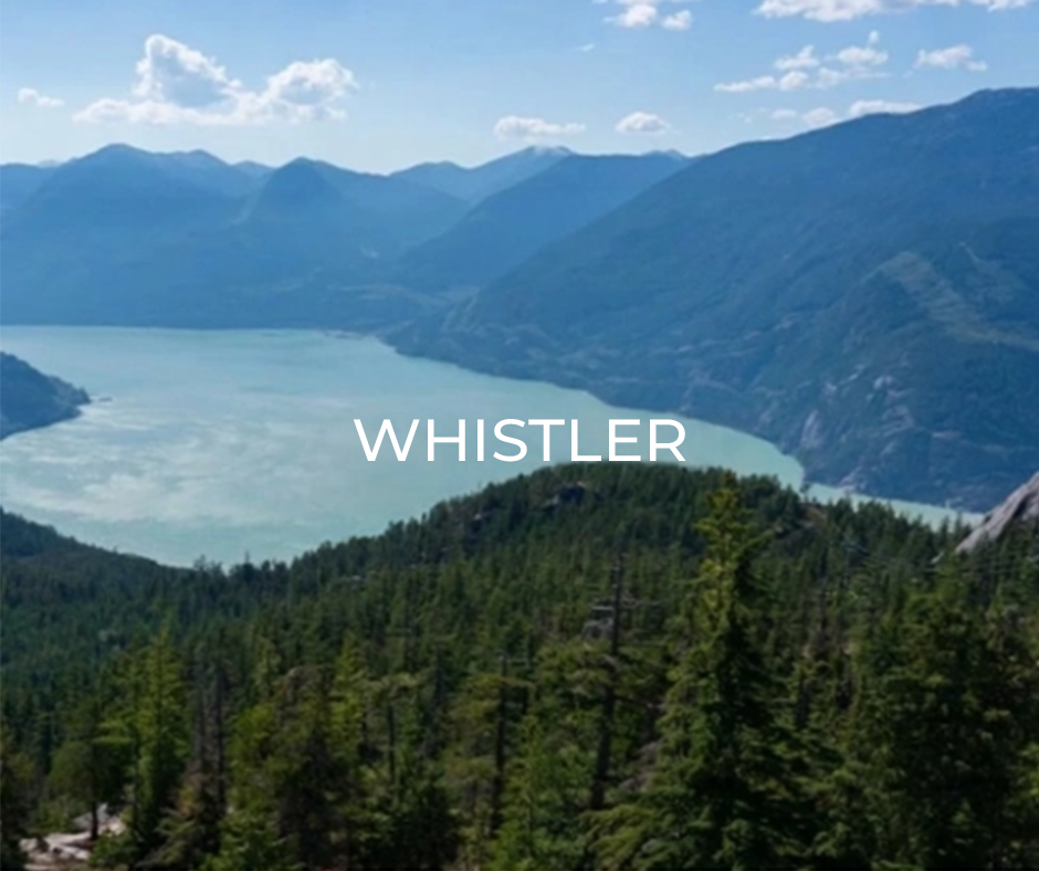 Ann and Leslie Real Estate Group selling condos and houses in Whistler
