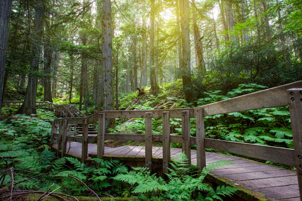 SunshineCoast-hiking