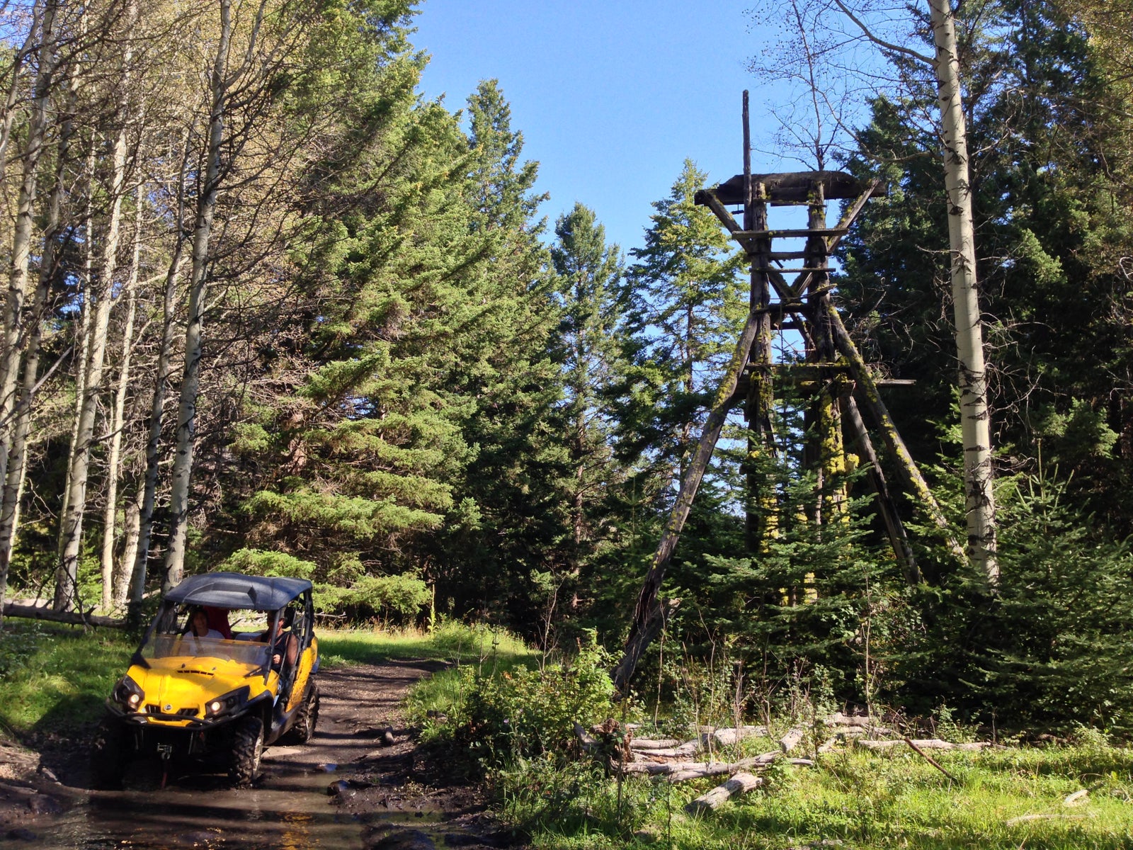 Exploring Coalmont BC