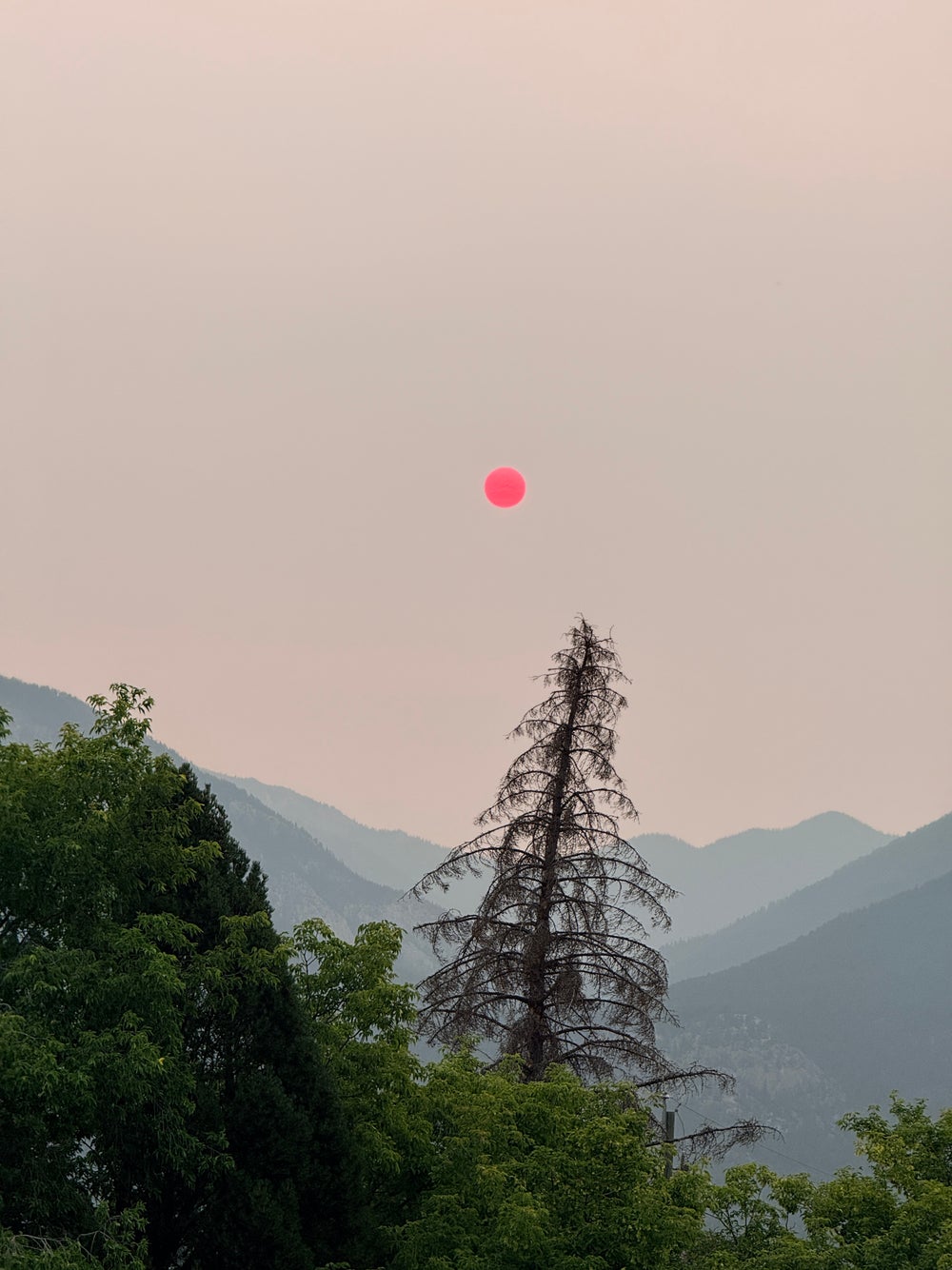 Red sun through wildfire smoke over the Rocky Mountains near Invermere in BC's Columbia Valley, July 2026