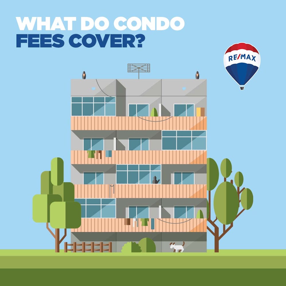 Graphic asking What do condo fees cover?