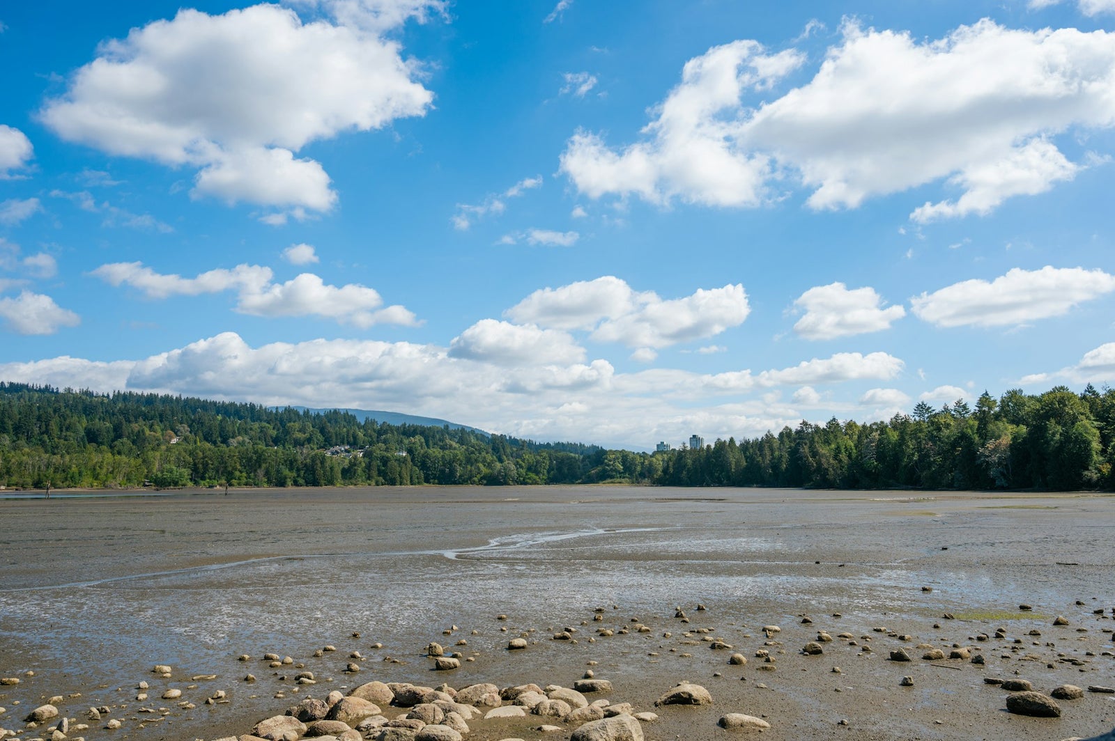 Scenic waterfront view of Port Moody with blue sky, clouds, and forested hills
