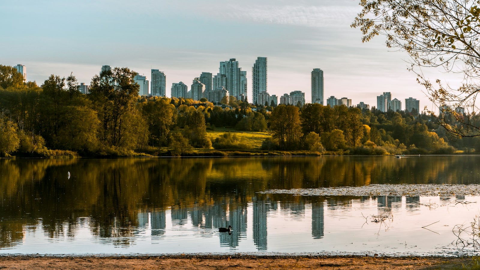 Skyline of Burnaby, BC viewed from Deer Lake, highlighting the city’s mix of nature and modern living where My Dream Realty provides property management services.