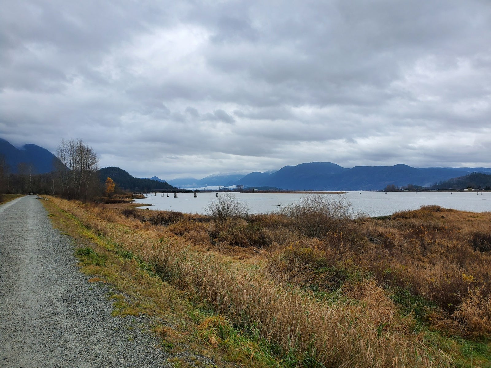 Port Coquitlam Riverside Trail with Mountain Views Riverside walking trail in Port Coquitlam with mountain and river views